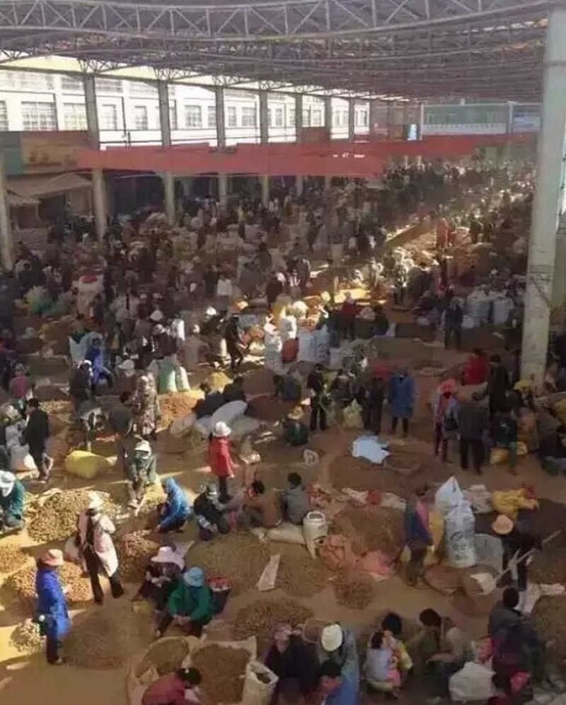 在当今全球化的背景下,商品贸易成为了企业拓展市场、提升竞争力的重要手段之一。今天我们就来聊聊如何通过国际贸易打开新的增长空间。